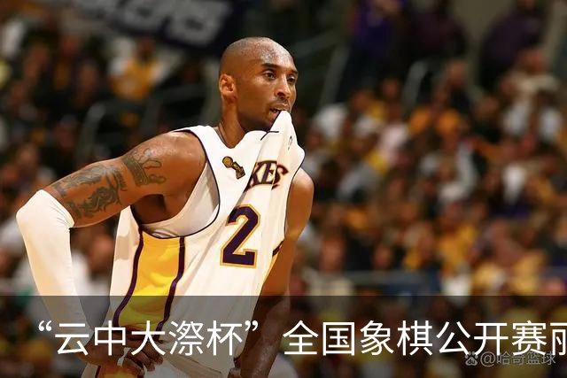 “云中大漈杯”全国象棋公开赛丽水景宁开幕